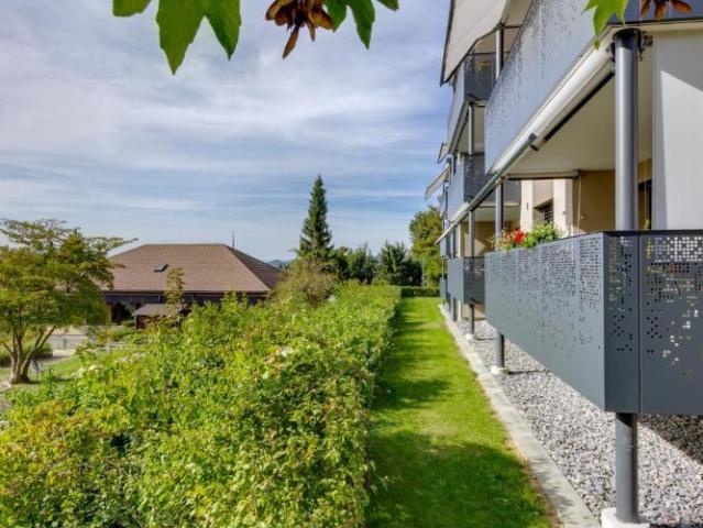 Apartment mieten in Münsingen, Bern