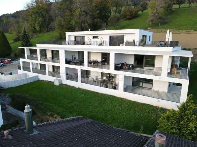 Wohnung mieten in Reinach (AG), Aargau