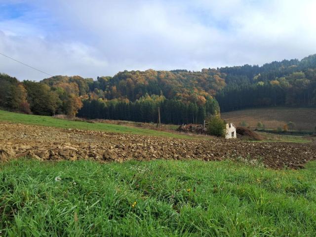 Grundstück kaufen in Kirchbach in Steiermark, Kirchbach