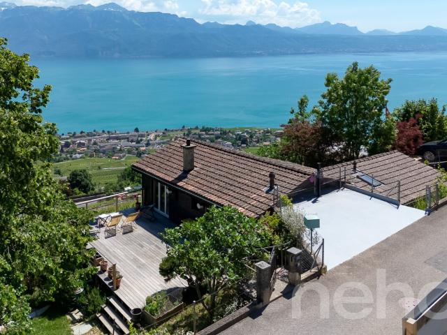 Haus kaufen in Bourg-en-Lavaux, Waadt