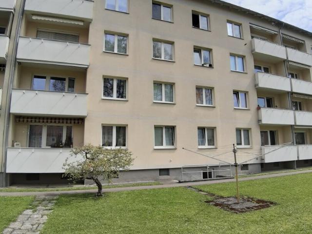 Apartment mieten in Steyr, Münichholz