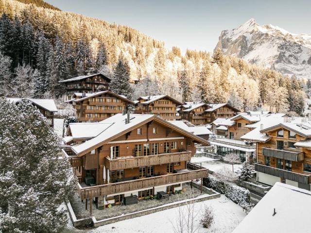 Wohnung kaufen in Grindelwald, Bern