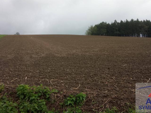Immobilie kaufen in Handenberg, Bezirk Braunau