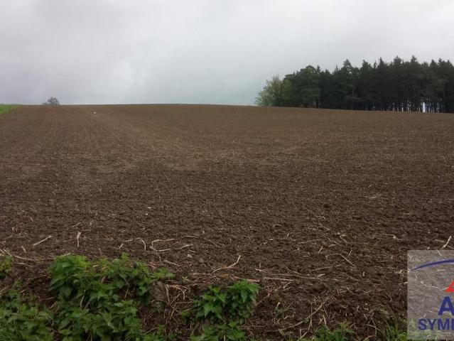 Grundstück kaufen in Haselbach, Braunau am Inn