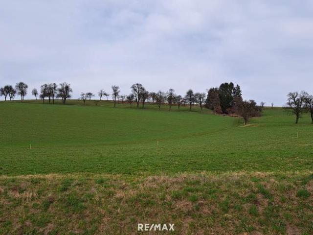 Grundstück kaufen in Amstetten, Niederösterreich