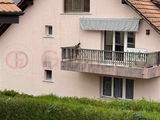 Wohnung kaufen in Chesalles-Moudon, Waadt