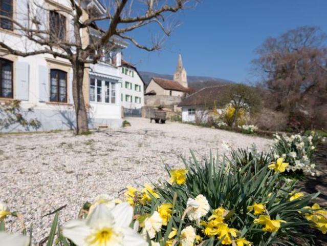 Haus mieten in Bonvillars, Waadt