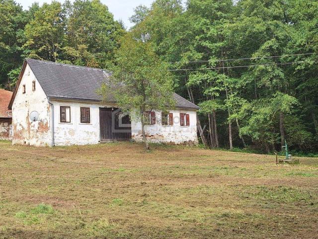 Haus kaufen in Heiligenkreuz im Lafnitztal, Burgenland