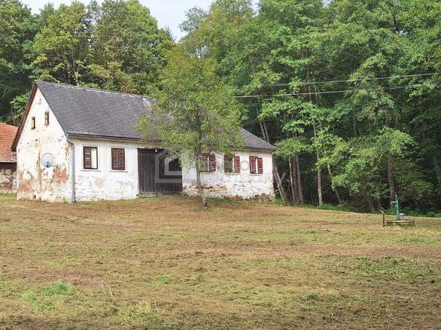 Haus kaufen in Jennersdorf, Burgenland