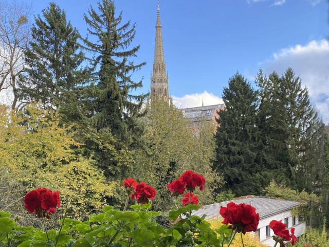 Apartment kaufen in Linz, Oberösterreich