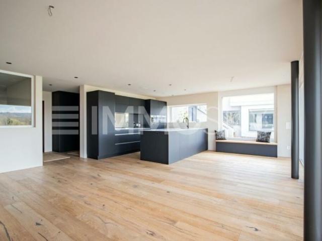 Einfamilienhaus kaufen in Eggenwil, Aargau