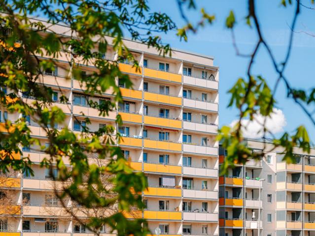 Apartment mieten in Cottbus, Brandenburg