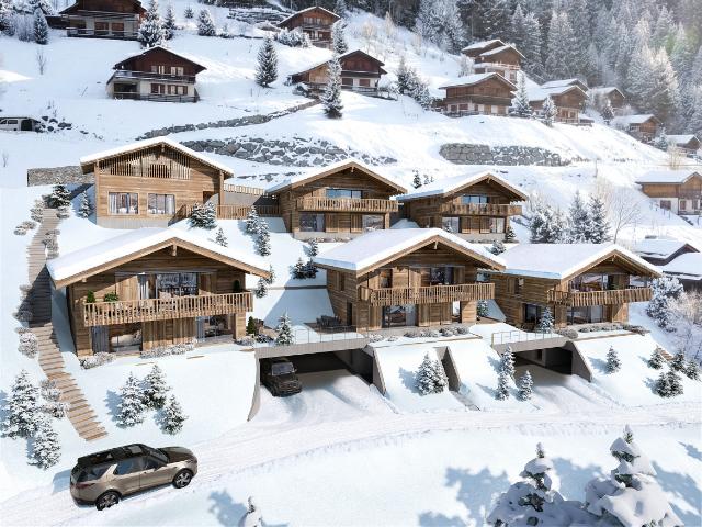 Wohnung kaufen in Anniviers, Wallis