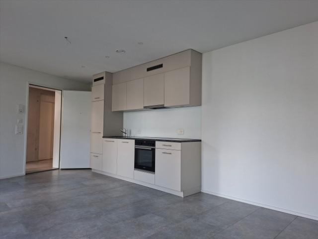 Wohnung mieten in Villmergen, Aargau