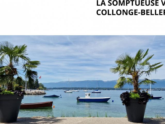 Einfamilienhaus kaufen in Collonge-Bellerive