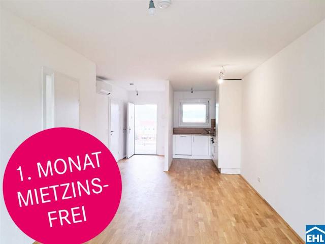 Wohnung mieten in Andritz, Gersdorf-Feistritz