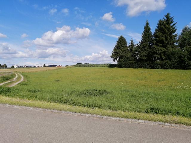 Landwirtschaft kaufen in Steingriff, Schrobenhausen