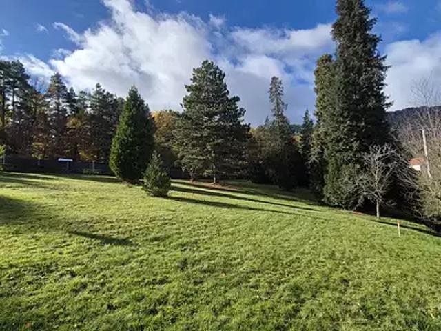 Terrain vente à Dieffenbach-au-Val, Collectivité européenne d'Alsace