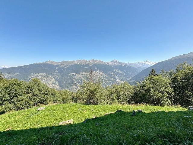 Immobilie kaufen in Vex, Wallis