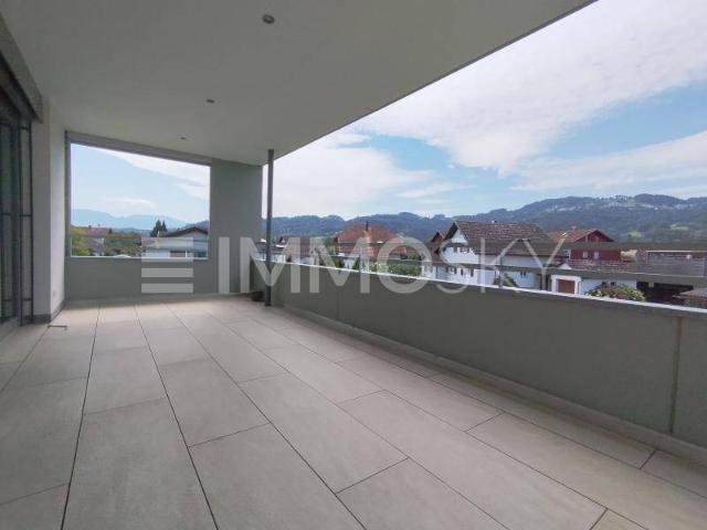 Apartment kaufen in Höchst