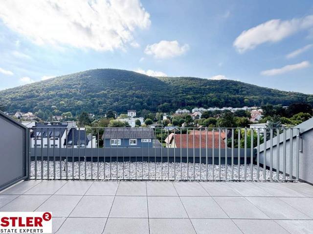 Wohnung kaufen in Mödling, Niederösterreich