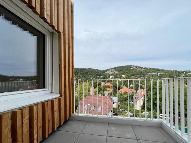 Wohnung kaufen in Mödling, Bezirk Mödling
