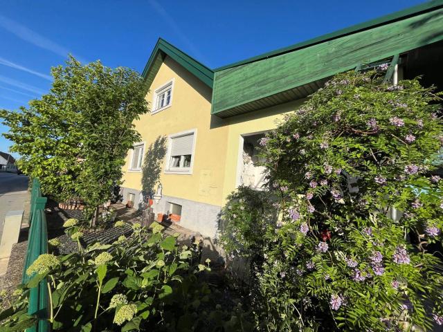 Haus kaufen in Hof am Leithaberge, Niederösterreich