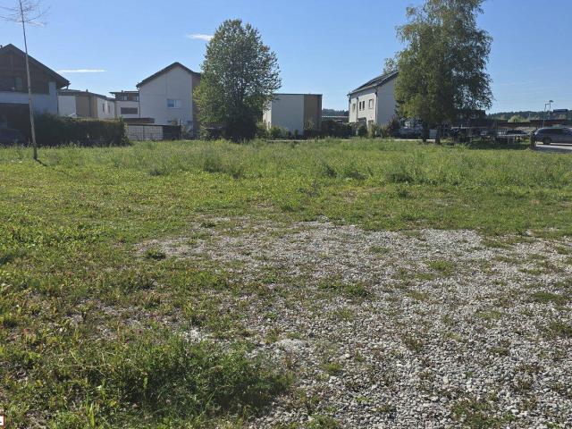 Immobilie kaufen in Steindorf, Straßwalchen