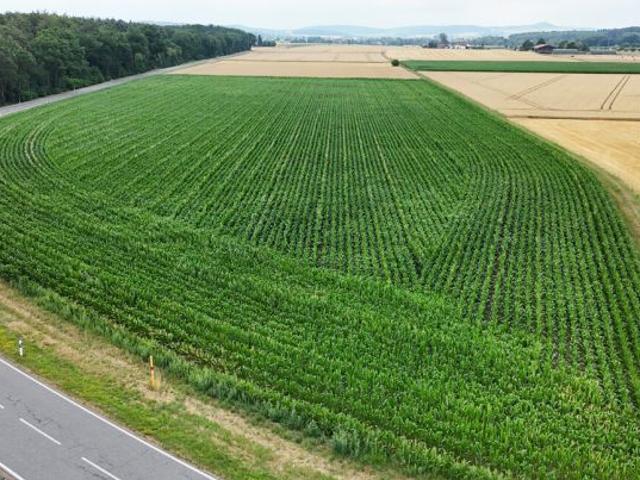 Erdgeschosswohnung kaufen in Hessen