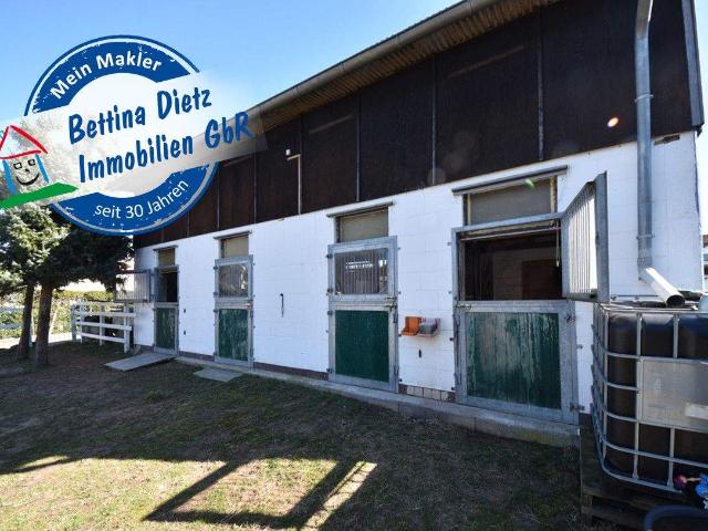 Haus kaufen in Babenhausen, Hessen