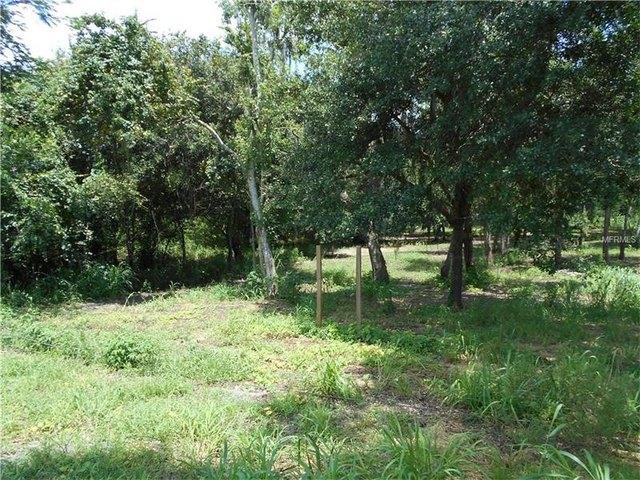 Land for sale in Bartow, Florida