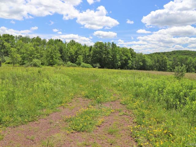 Land for sale in Callicoon Center, New York