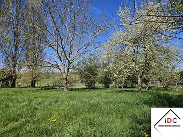 Terrain vente à Sarrebourg-Château-Salins, Dieuze
