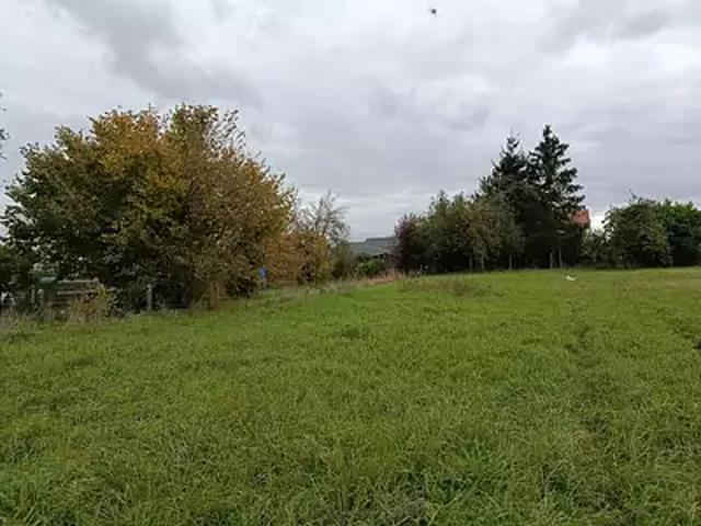 Terrain vente à Sarrebourg-Château-Salins, Dieuze