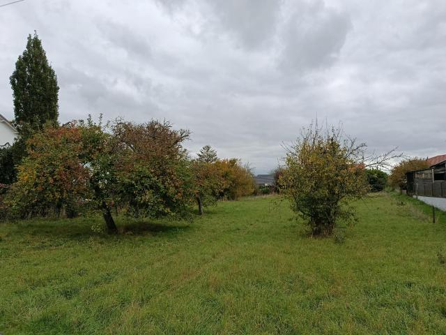 Terrain vente à Sarrebourg-Château-Salins, Dieuze