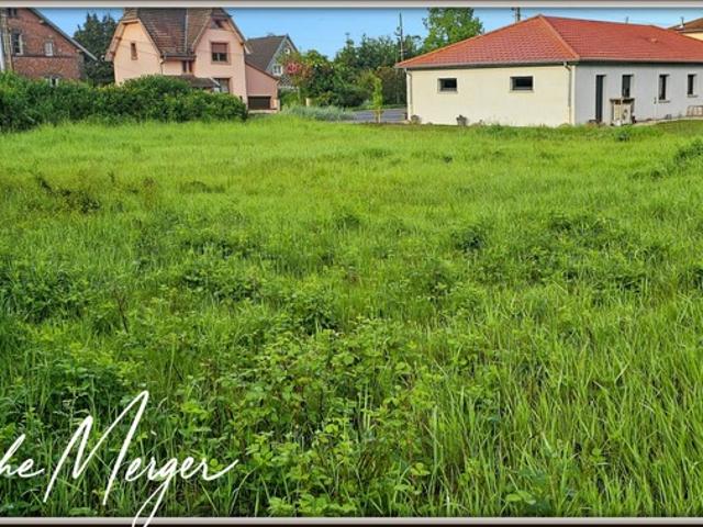 Terrain vente à Sarrebourg-Château-Salins, Dieuze