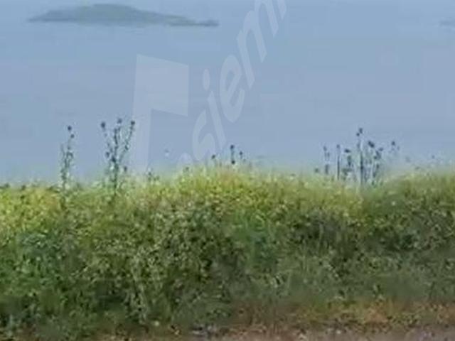 Dikili, İzmir içerisinde satılık Arsa
