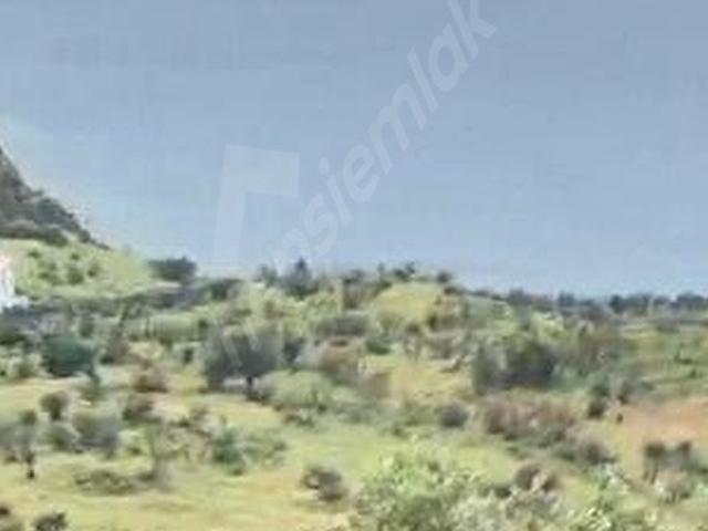 Dikili, İzmir içerisinde satılık Arsa