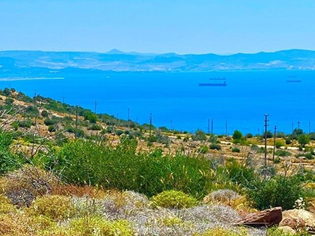 İzmir Merkez içerisinde satılık Tarla İzmir Merkez içerisinde satılık Tarla