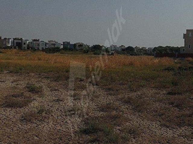 Dikili, İzmir içerisinde satılık mülk