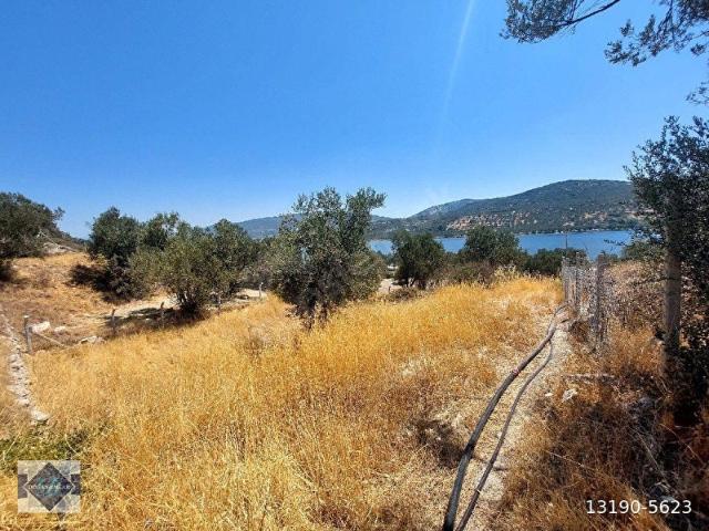 Dikili, İzmir içerisinde satılık mülk