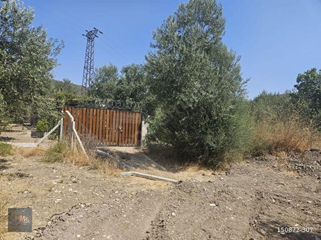Dikili, İzmir içerisinde satılık Arsa