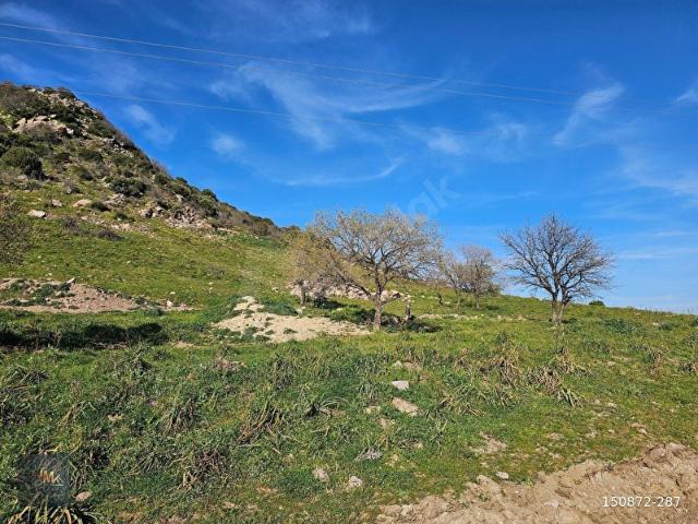Dikili, İzmir içerisinde satılık Arsa