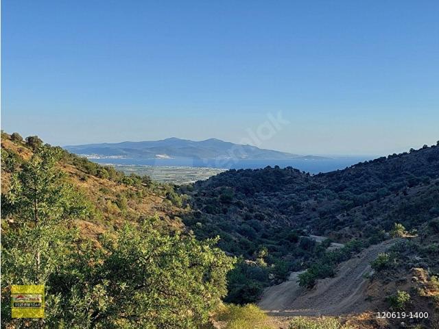 Dikili, İzmir içerisinde satılık Arsa