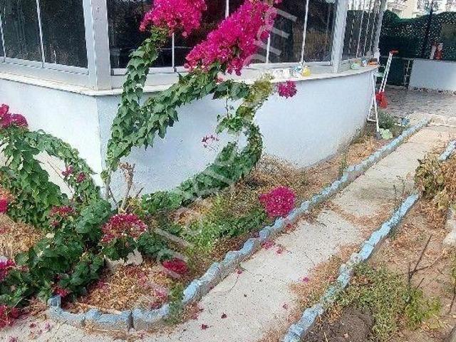 Salimbey Mahallesi, Dikili içerisinde kiralık mülk