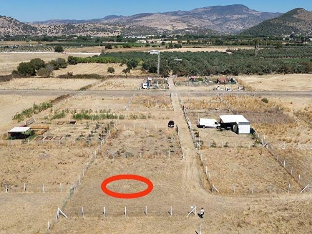 Dikili, İzmir içerisinde satılık Arsa