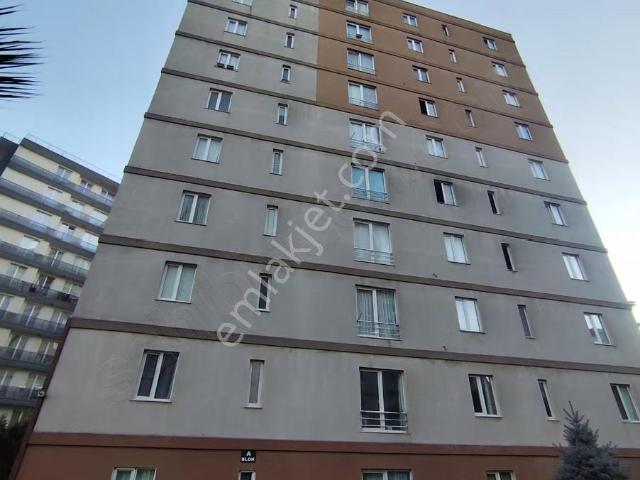 İstanbul içerisinde kiralık mülk