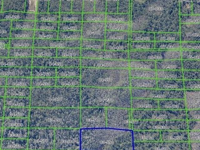 Land for sale in Christmas, Florida