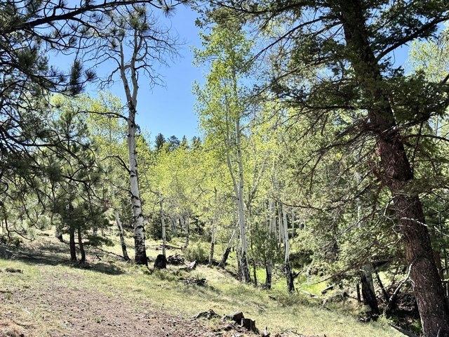 Land for sale in Custer, Colorado