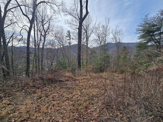 Land for sale in Dillsboro, North Carolina